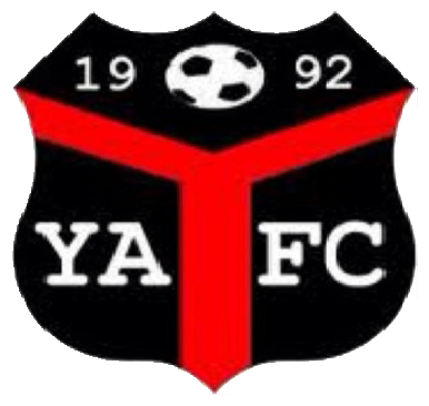 YNYSHIR ALBIONS FC